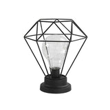 Edison Style Metal Terrarium Lamp Warm White LEDs Wire Lights Battery Operated Night Lamp